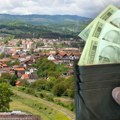 Na 10 ari zemlje zarada 9.000 evra: Plod ove biljke je prirodni izvor zdravlja, ali i prilika za odličnu zaradu!