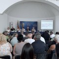 Više od 600 primedbi pred Komisijom za planove u Nišu: Za Borsku ostaje nadvožnjak u obliku potkovice
