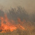 МУП апеловао на грађане да не пале растиње у близини саобраћајница