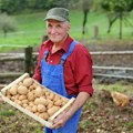 Opasne tvrdnje: Komisija odobrava GMO hranu mimo volje građana