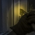 Dvojac uhvaćen kako pokušava da obije prodavnicu u Vrbasu