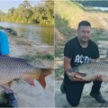 Raport s vode Kod Vajske kapitalni šarani i amur