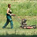 Povećan broj građana koji se javljaju zbog uboda krpelja