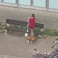 Vlasnički pas napao ženu na novom Beogradu! U ruci držala svog ljubimca, oborio ih sa klupe (video)