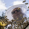 FOTO, VIDEO: Sa kamiona u Kanadi ispale košnice s pet miliona pčela, vozač zadobio 100 uboda