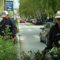 Napadnut radnik „Gradskog zelenila”, vlasnik parcele nije im dozvoljavao da obavljaju svoj posao