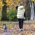 Italijanska pokrajina pronašla način da kazni neodgovorne vlasnike pasa koji ostavljaju "poklone" iza sebe: Svi moraju da…