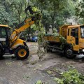 Gradsko zelenilo: Sanirane posledice nevremena na više od 40 lokacija