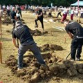 Ko je najbolji grobar? U Mađarskoj održano neobično takmičenje, učestvovali i Srbi