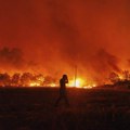 Užas! U požaru pronađeno najmanje 18 ugljenisanih tela! Vatra guta Grčku, vatrogasci se bore sa vatrenom stihijom