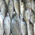 Pojačane kontrole prodaje ribe u Srbiji tokom Božićnog posta
