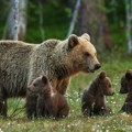Nisu verovali svojim očima Ribolovci na Zaovinama snimili nešto što se retko viđa