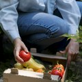 Покрајина улаже у прерађивачку и органску производњу