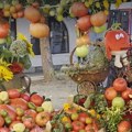 (Video): Počeo Paradajz fest! Ponos kraja i razlog okupljanja u Lebanu, a proizvođači tvrde da je iz ovog razloga poseban