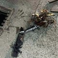 Uhapšen osumnjičeni za ubistvo na Detelinari
