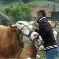Svako ko hoće da se vrati na dedovinu u neko od ovih sela dobiće asfaltni prilaz do svojih imanja