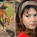 Angelina Topić sa dečkom Aleksom u Japanu: Oko njih divlje životinje: U parku im prišao jelen