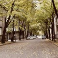 Naoblačenje i kiša u većem delu Srbije – vikend donosi razvedravanje