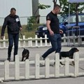 U Leskovcu održana „Nacionalna izložba pasa svih rasa CAC 2026“