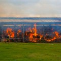Drama na porodičnoj farmi: Stradalo 1.500 svinja, vatrogasci se neumorno borili sa stihijom