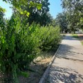 Nestabilno, ali toplo vreme, temperature do 32 stepena