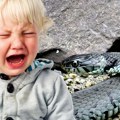 Dečak (2) nagazio na zmiju usred niškog parka: Stručnjaci tragaju za njom, građani van sebe od brige