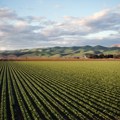 Poljoprivredna zemljišta u Sloveniji među najskupljima u EU
