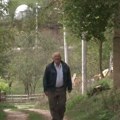 Pešači 30 kilometara u čuva ovce: Milan (71) poslušao ženu i iz grada prešao na selo: "pre sam koristio štap a sad mogu…