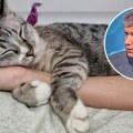 Zašto mačka prede? Veterinar Terzin razbio zabludu vlasnika koji misle da je srećna