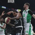 TVITOVI - Ko je ''čašćavao prisustvom'' u ekipi Partizana?