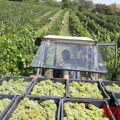 Opština Topola raspisala konkurs za osiguranje u poljoprivredi