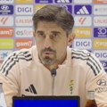 On bi trebalo da zameni Stojkovića: Veljko Paunović novi selektor Srbije?
