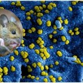 Preživela je hantavirus pre više od tri decenije, pa odlučila da do detalja ispriča šta je prošla. Ona je najmlađi pacijent…