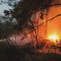 Proglašena vanredna situacija u Nevesinju usled požara koji je došao do kuća