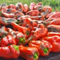 Spremate zimnicu? Pogledajte detaljan pregled cena paprike, kupusa i drugog povrća na pijacama širom Srbije