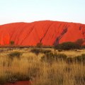 Ogromne guske lutale drevnom Australijom: Džinovi viši od dva metra, /foto/