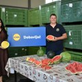 Lidl ove sezone otkupio oko 5.000 tona lubenice iz Srbije: Glavni dobavljač iz Klenka