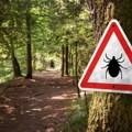 3 godine imao zujanje u ušima, lekari bili nemoćni: Veštačka inteligencija mu spasla život!