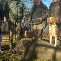 Dejan i Dušan ulovili grdosiju na Goču: Životinja je bila brza, borba neizvesna, sve je visilo o koncu