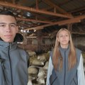 Teodor i Željana iz Vračevog Gaja najmlađi su domaćini u Srbiji: ustaju u pola sedam da obrade 500 grla stoke