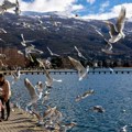 Ohridsko jezero se ‘otrglo’ od zime – fotografije
