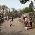 Leto usred proleća: Temperature do 30 stepeni, stižu i pljuskovi