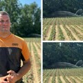 (Foto) Biće kupusa, Srđan zaliva hektare Sistemi za navodnjavanje iz bunara rade bez prestanka ”Voda je najvažniji saveznik…