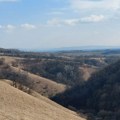 Izgorelo sedam do osam odsto šume u Deliblatskoj peščari