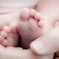 U Srbiji u periodu januar-septembar zabeležen rast živorođenih od 0,2 odsto
