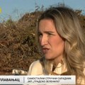 U Srbiji se godišnje baci oko 780.000 tona hrane: stručnjaci predlažu kompostiranje organskog otpada