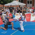 Taekwondo klub Proleter juče je organizovao porodično takmičenje „deca sa roditeljima“ [FOTO] Zrenjanin - Taekwondo klub…