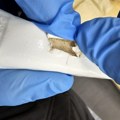 Na Kelebiji otkriveni paketi heroina skriveni u posudi za tečni sapun