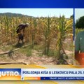 Poslednja kiša u Leskovcu pala 25. maja VIDEO