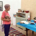 Tradicionalno voće zapadne i centralne Srbije u valjevskom Narodnom muzeju Šljiva - simbol berićeta